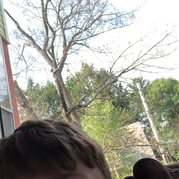 Meet your Posher, Michael - Picture 1 of 1